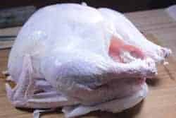 Brined turkey sitting on counter