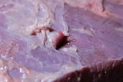 Incisions in brisket