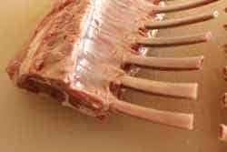 Rack of Lamb showing membrane on bone side